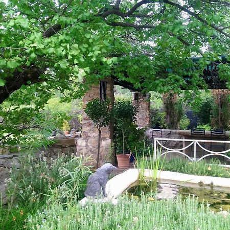Black Cottage Smithfield Εξωτερικό φωτογραφία