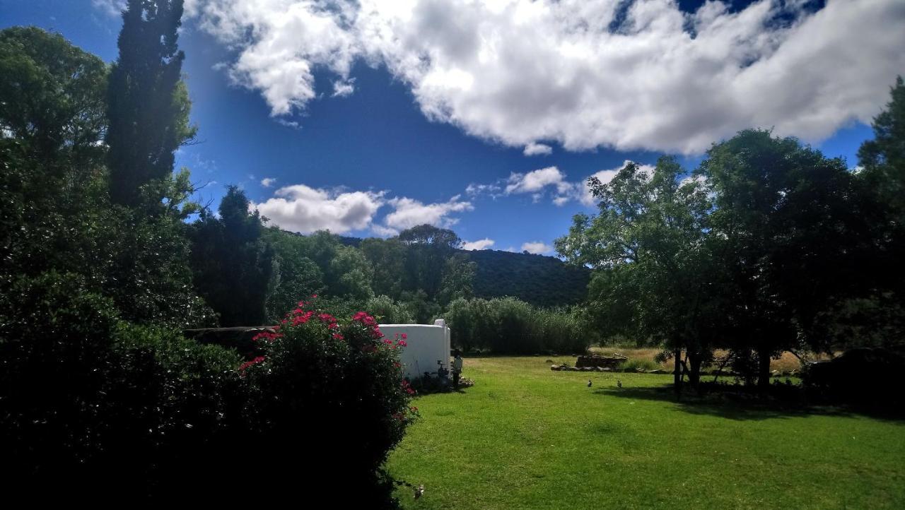 Black Cottage Smithfield Εξωτερικό φωτογραφία