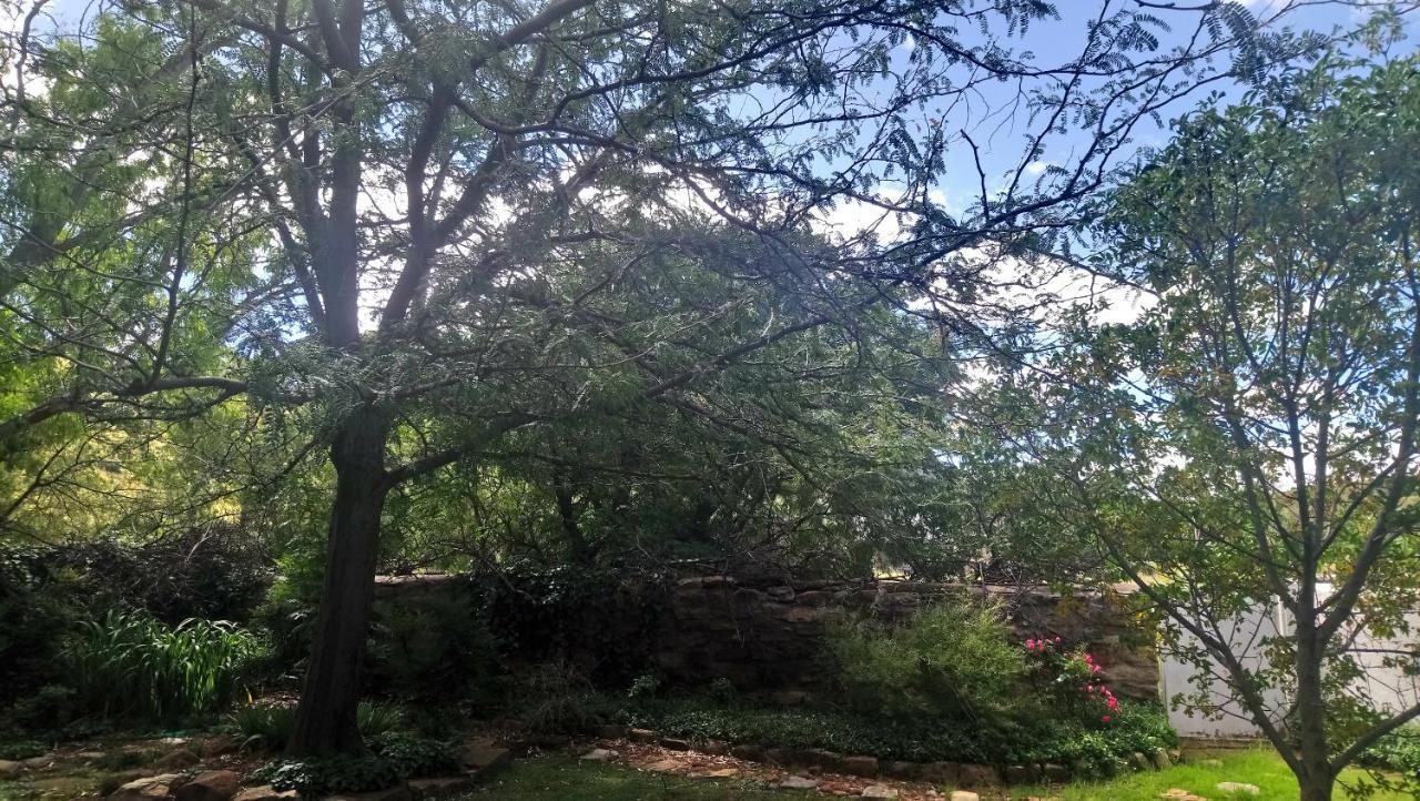 Black Cottage Smithfield Εξωτερικό φωτογραφία